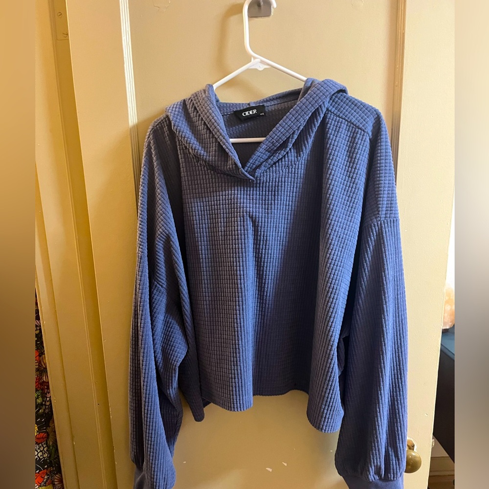 Cider Cropped Hoodie